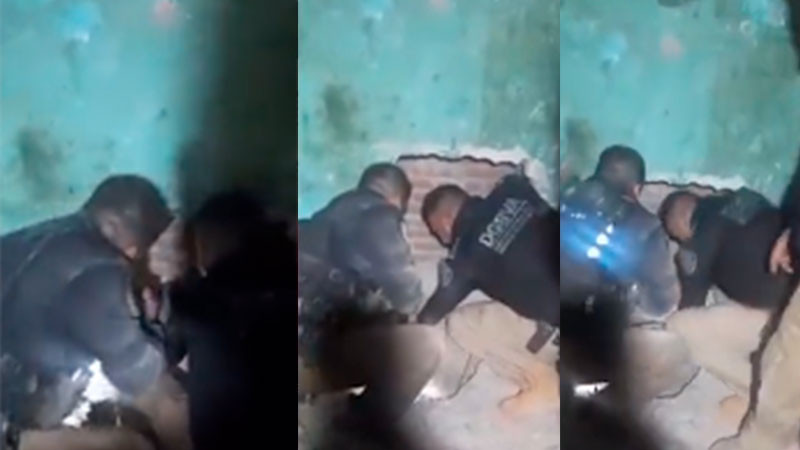 Rescatan a perrita atrapada en medio de dos muros en CDMX thumbnail